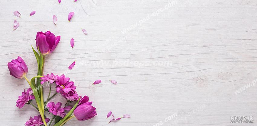 فروشگاه کتاب های دست دوم  تنها با پرداخت 30 درصد از قیمت کتابتان تا دو سال کتاب هایتان را در سایت برای فروش قرار دهید